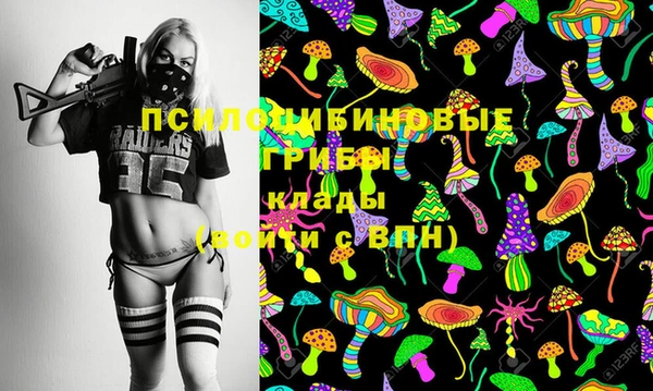 герыч Коряжма