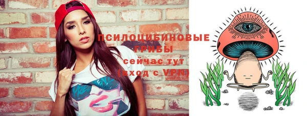 apvp Костерёво