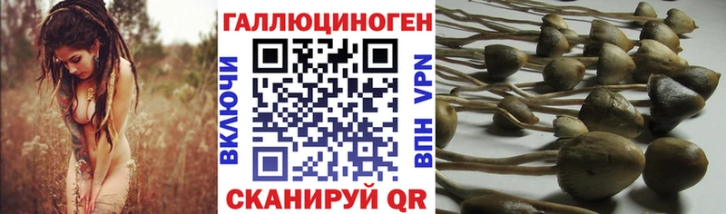 Галлюциногенные грибы мухоморы  Купить закладки  Десногорск 